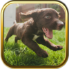 Free Cute Puppy Puzzle Games icon