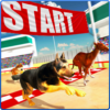 Dog Racing Stunt & Jump 3D Sim icon