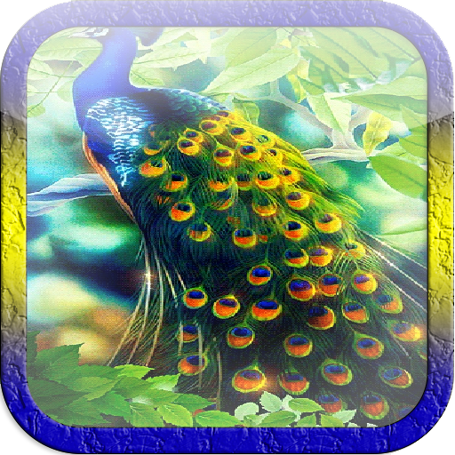 Beautiful Peacock LWP icon