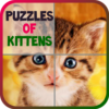 Puzzles of Kittens Free icon