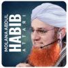 Maulana Abdul Habib Attari icon