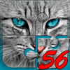 Big puzzles with cats icon