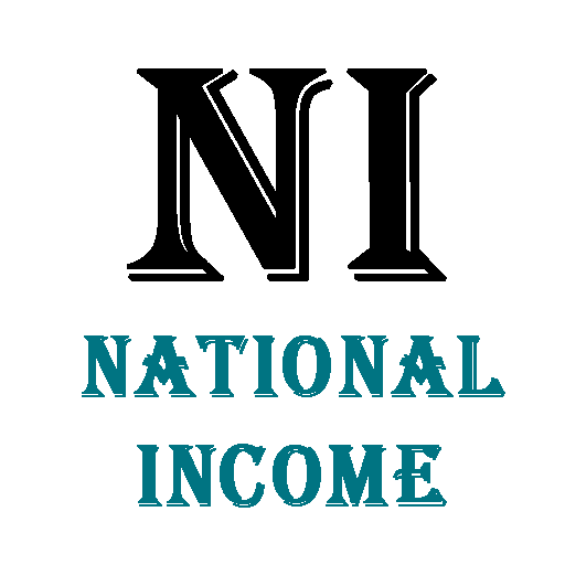 National income icon