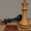 Multiplayer Chess icon