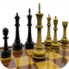 Chess Pro icon