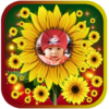 Sunflower photo frames icon