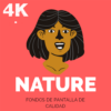 Fondos de Pantalla de Paisajes 4K Full HD: NATURE icon