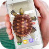 Turtle Walks in Phone joke icon