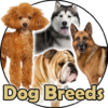 Dog Breeds | The Doggy Dossier icon