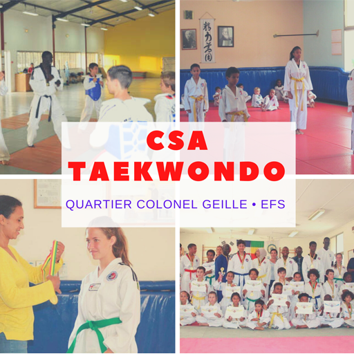 CSA TAEKWONDO EFS icon