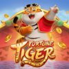 Fortune Tiger for Android Free App icon