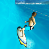 PEPI Surf Free icon