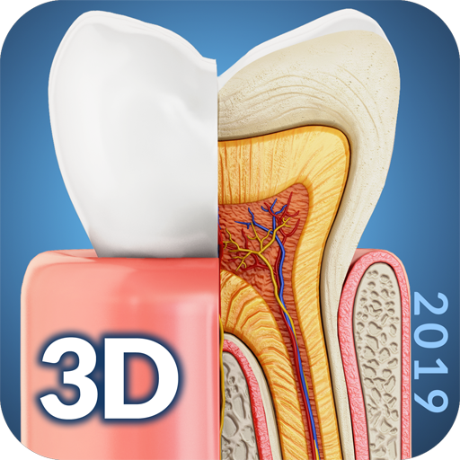 Dental Anatomy icon