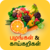 Fruits & Vegetable Nutrition icon