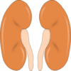 51 Tips for Dealing Kidney Stones icon