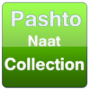 Pashtu Naats Collections icon