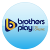 Brothers Play icon