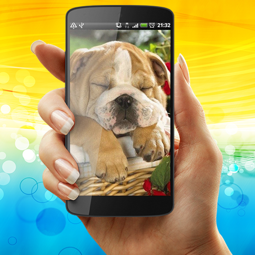 English Bulldog Live Wallpaper icon