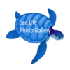 SeaLife Photo Gallery icon