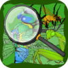 Find Hidden Stuff Game: Insect icon