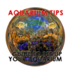 Aquarium Tips Guide To Set Up Your Aquarium icon