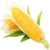 Corn Recipes icon