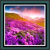 Live Wallpapers Spring Flowers icon