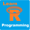 Learn R Programming Pro icon