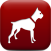 Dog Breed Auto Identify Photo icon