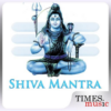 Shiva Mantra icon