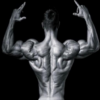 Shoulder Transformer Workout icon