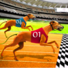 Dog racing games dog game 3d icon