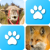 Pairs: Animals icon