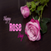 Happy Rose Day icon