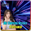 Dj Boka Boka Dance Remix Offline icon