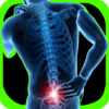 Lower Back Pain Exercises icon