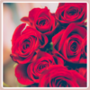 Rose Wallpapers icon