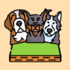 Dog Jump: Endless Fun icon