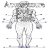 Acupressure Body Points icon