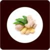 Ginger Benefits icon