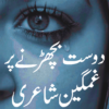 ghumgeen poetry in urdu icon