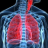 Respiratory System icon