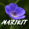 Marikit Song Lyrics icon