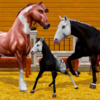 Star Equestrian – Horse Ranch icon