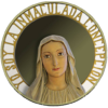 Ntra Señora Lourdes Valencia icon