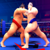 Sumo fighting 3D Wrestling icon