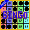 GO Bingo icon