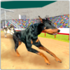 Greyhound K9 Dog Race Sprint icon