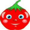 Save Tomato icon