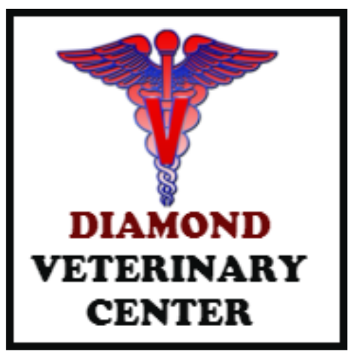 DVCDiamond Veterinary Center icon